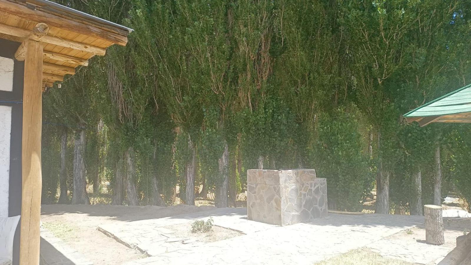 Cabanas De Los Andes Uspallata Exterior photo