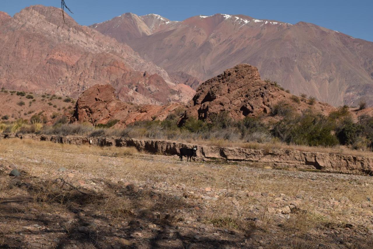 Cabanas De Los Andes Uspallata Exterior photo